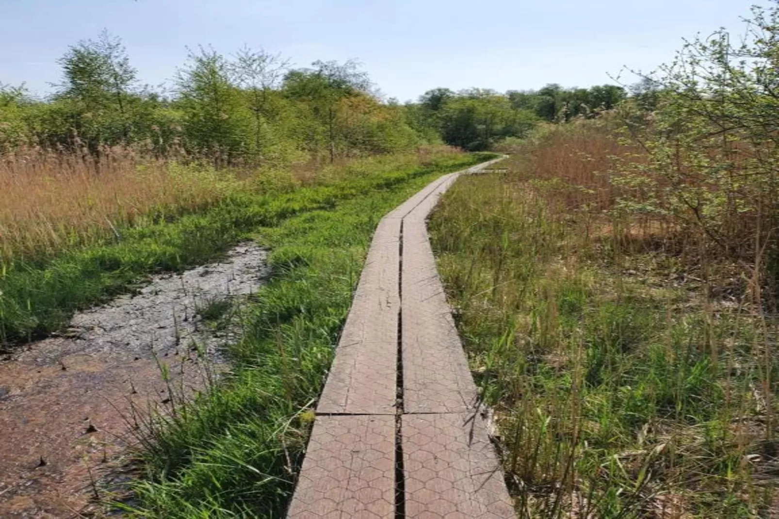 De Mattelier-Gebieden zomer 20km