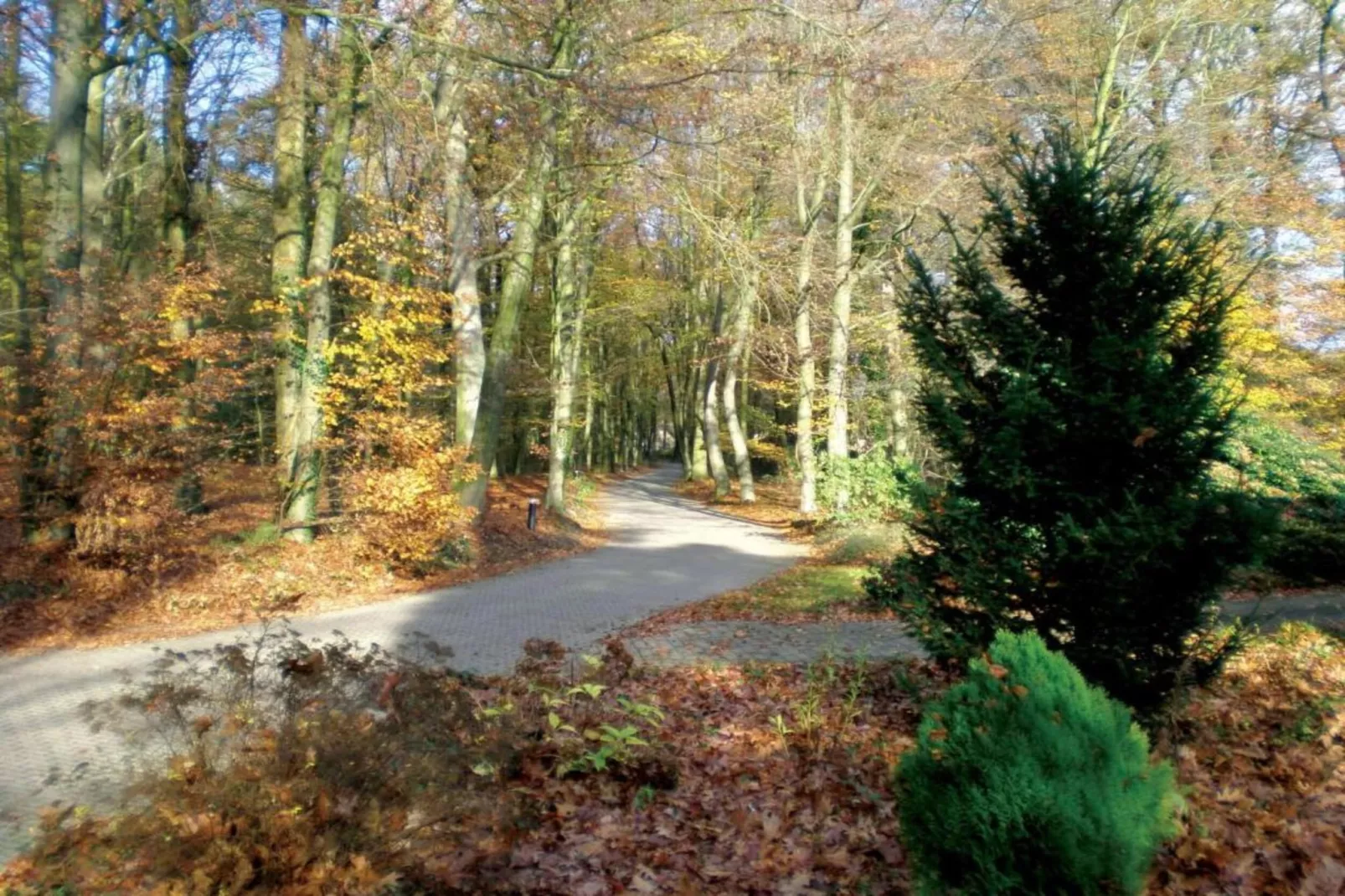 Vakantiepark De Lochemse Berg 1-Gebieden zomer 20km