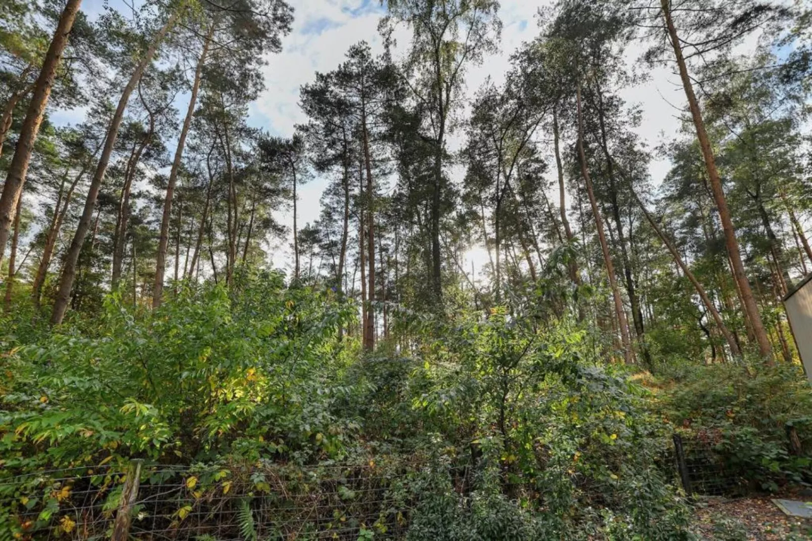 Bospark Markelo 2-Gebieden zomer 20km