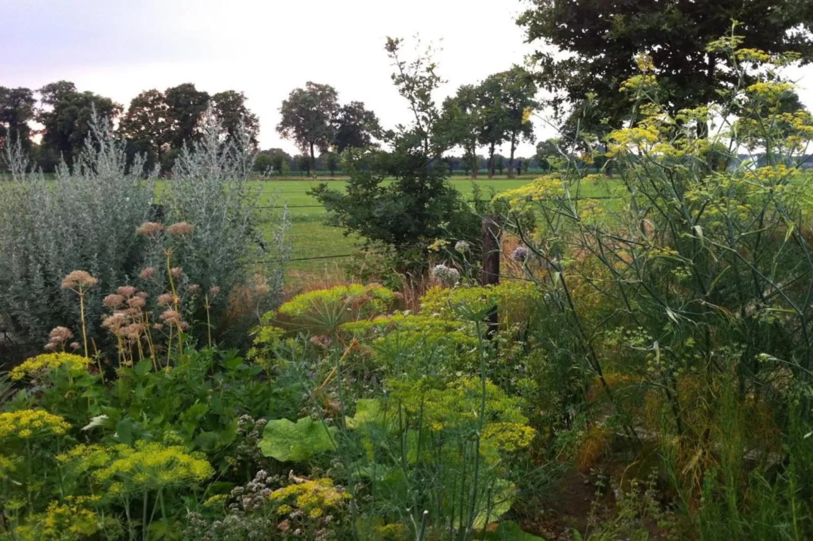 Bospark Markelo 4-Gebieden zomer 20km