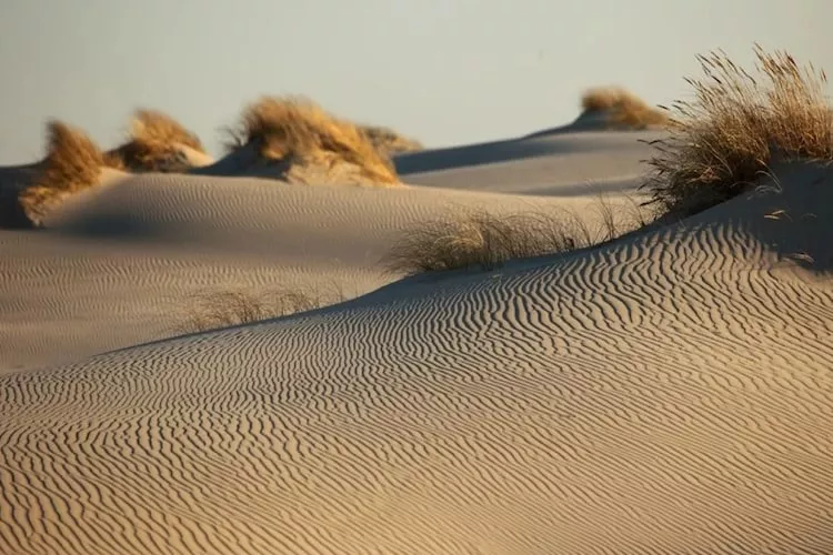 Dom wakacyjny Śledzik w Rowach-Gebieden zomer 5km