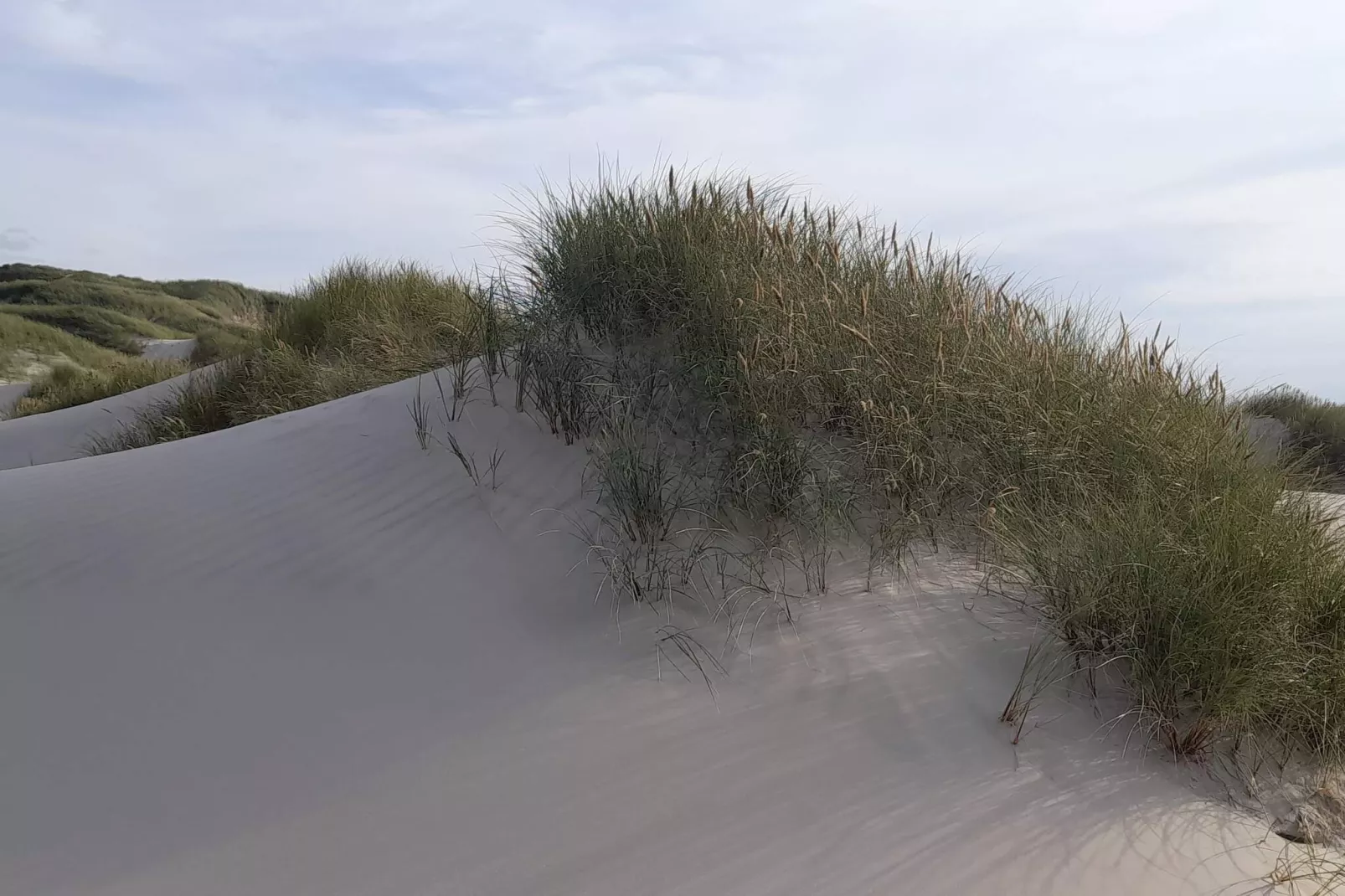 6 persoons vakantie huis in Saltum-By Traum-Niet-getagd