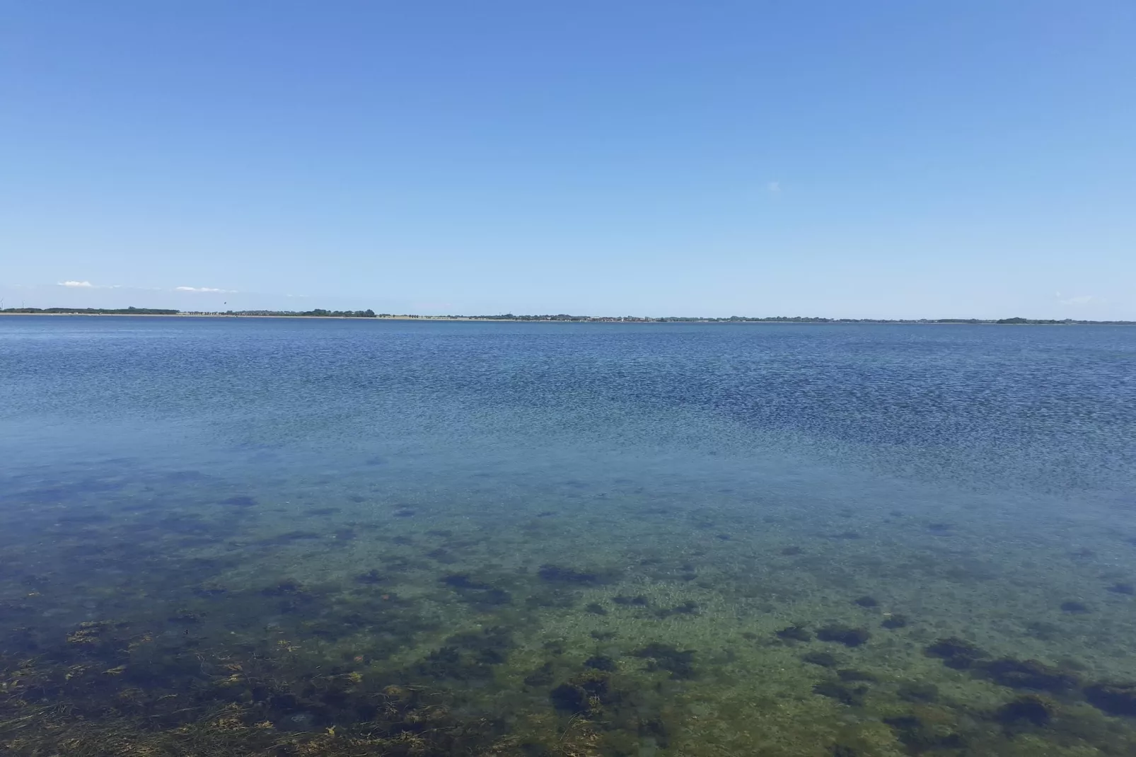 FeWo EG E-37-Gebieden zomer 1km