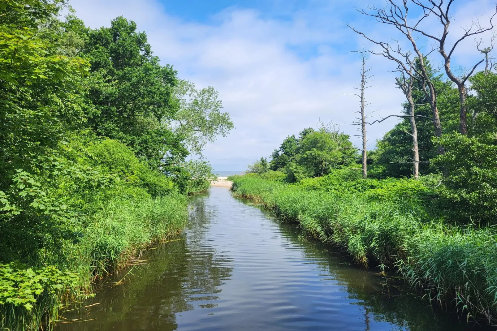 Domki wakacyjne w Gąskach-Gebieden zomer 1km