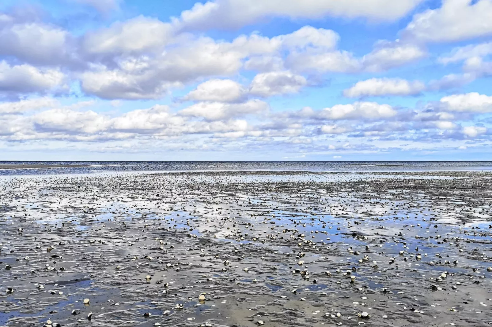 12 persoons vakantie huis in Hadsund-By Traum-Waterzicht