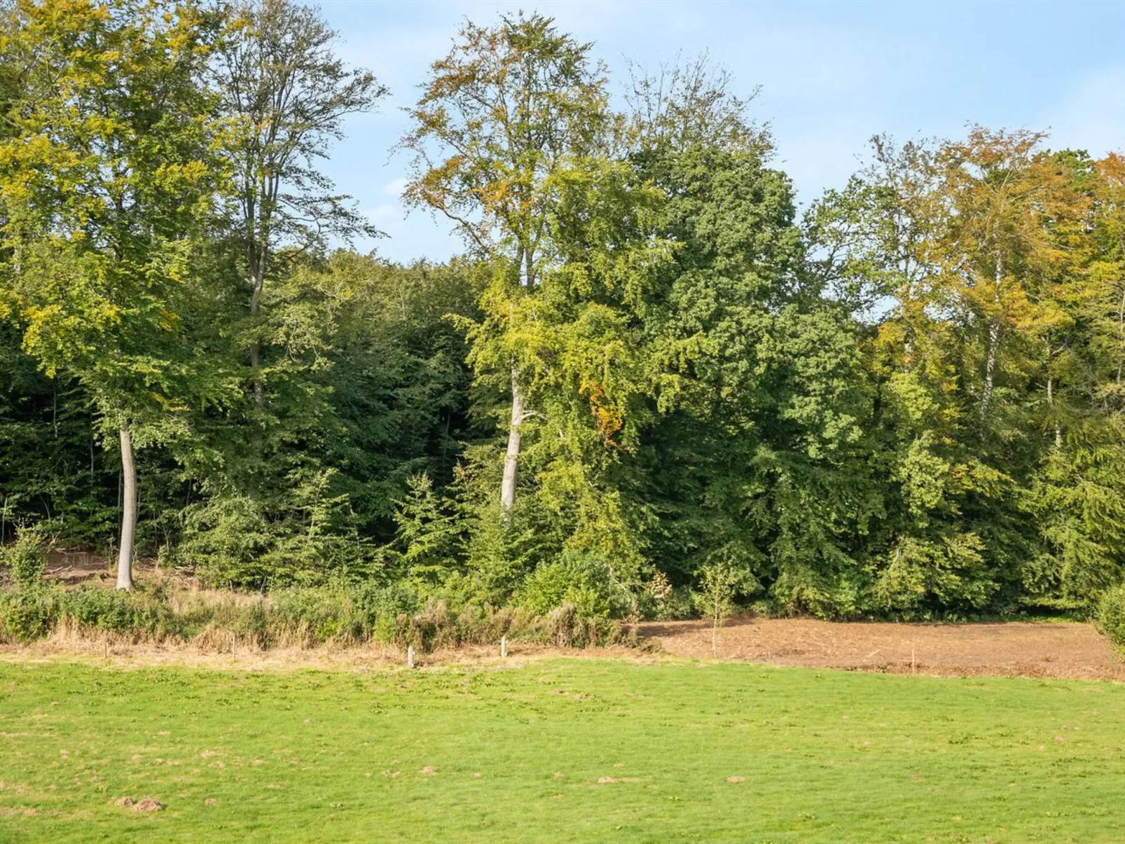 "Rosa" - 300m from the sea-Buiten