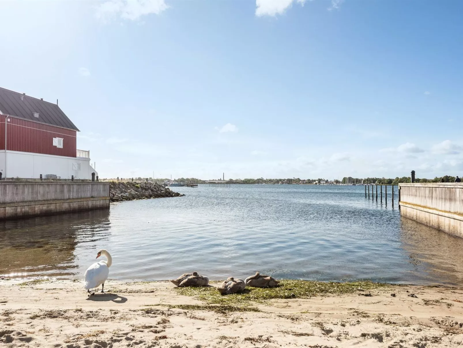 "Joar" - 5m to the fjord-Buiten