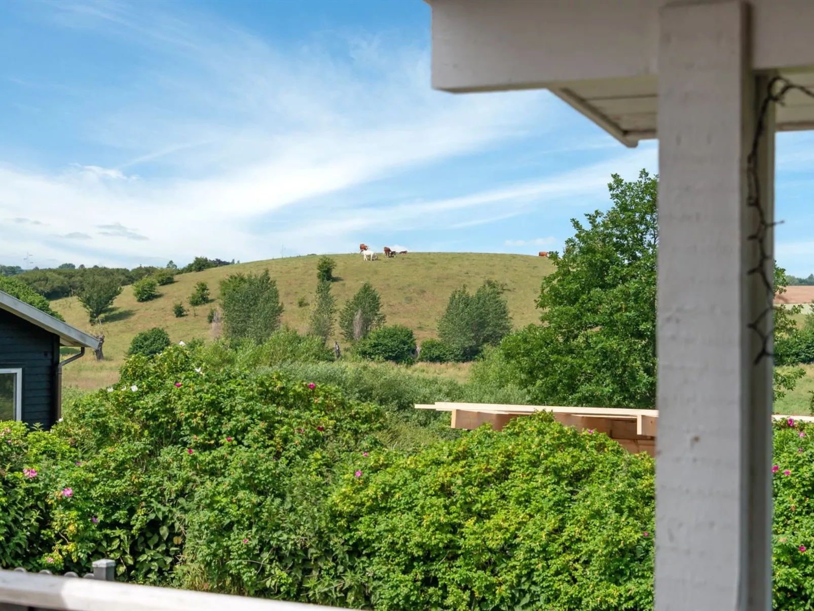 "Raija" - 400m from the sea-Buiten