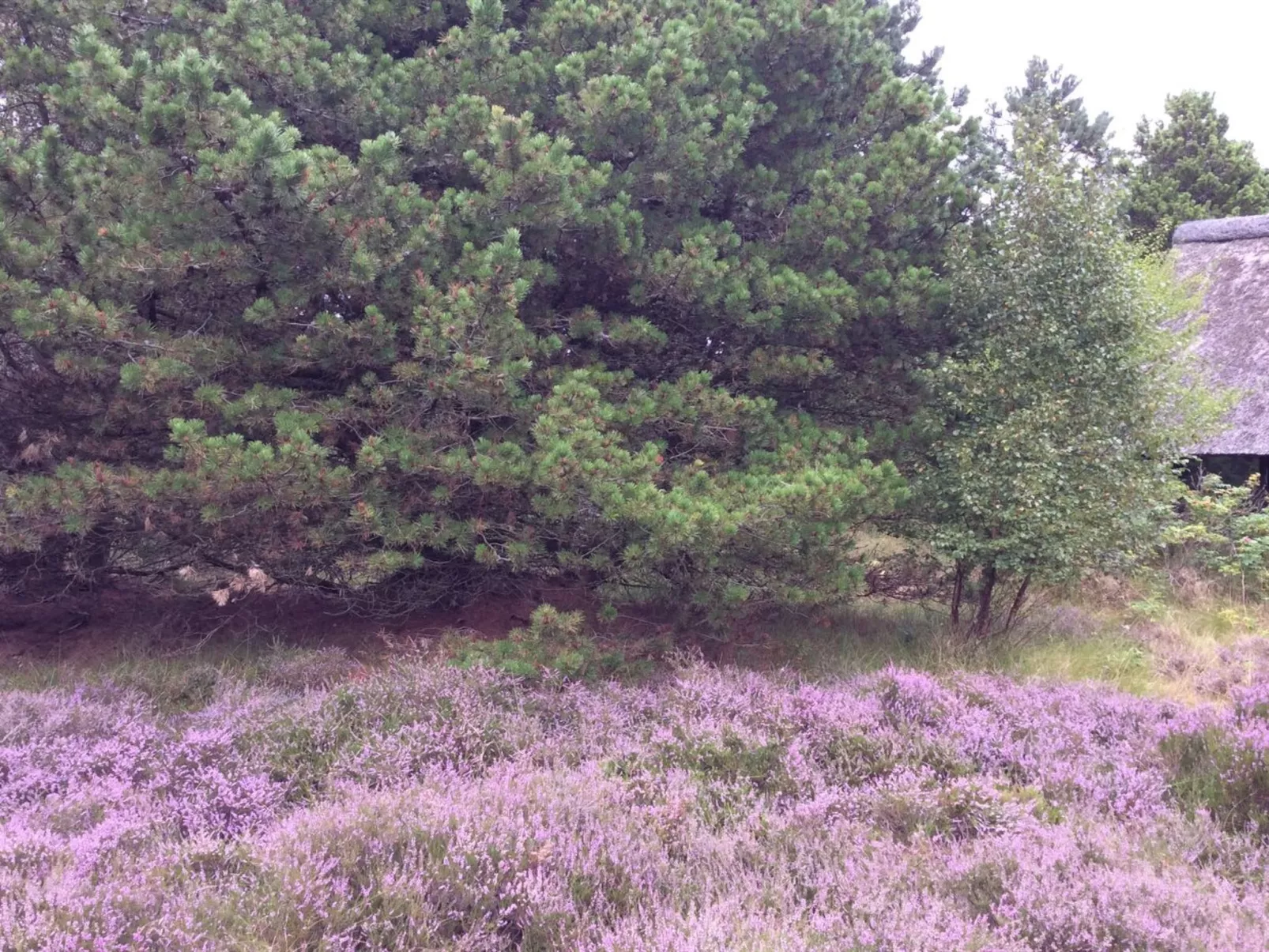 "Emilla" - 3.8km from the sea-Buiten