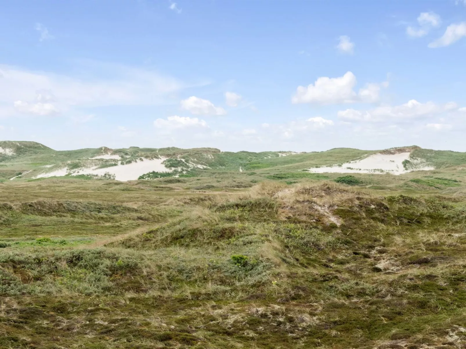 "Trugot" - 450m to the fjord-Buiten