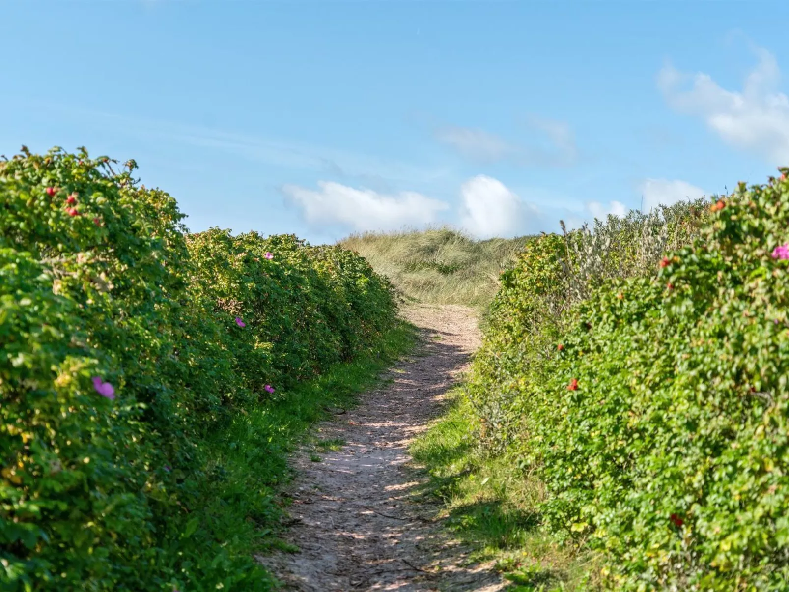 "Anne" - 100m from the sea-Buiten