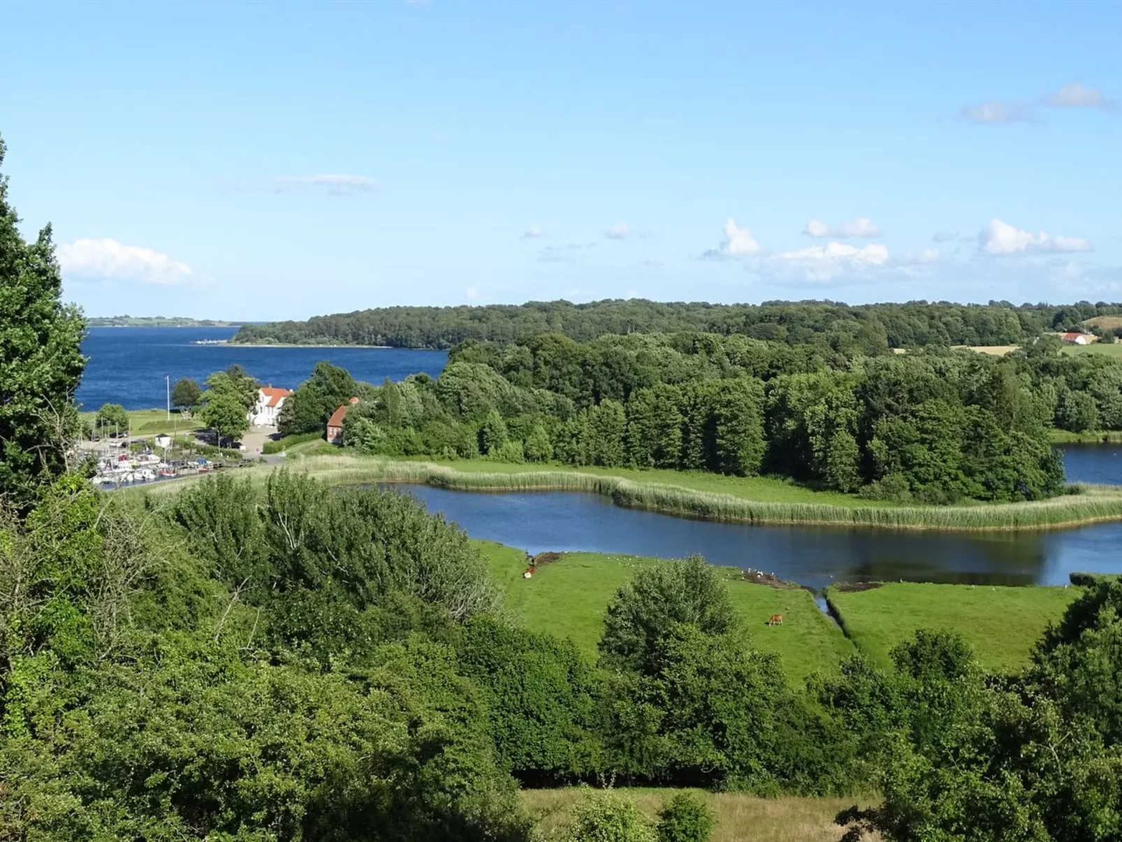 "Veselin" - 100m from the sea-Buiten