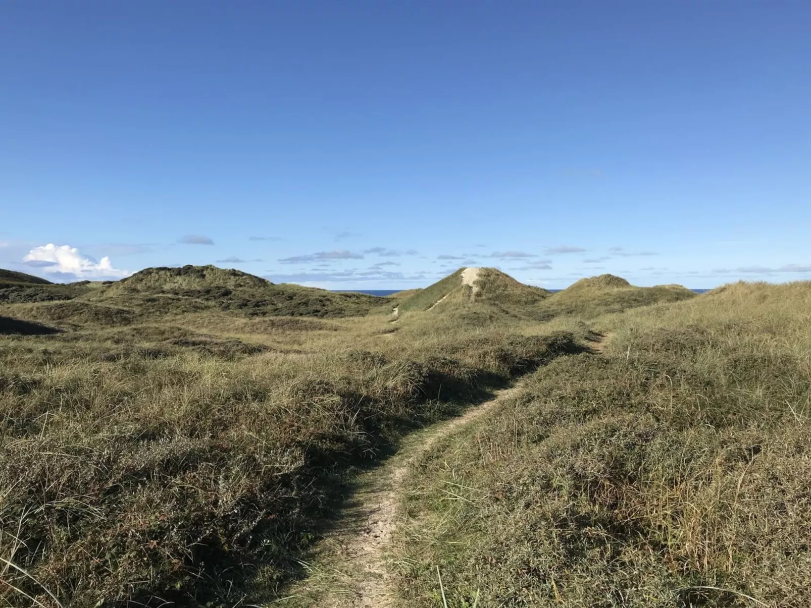 "Finna" - 1km from the sea-Buiten