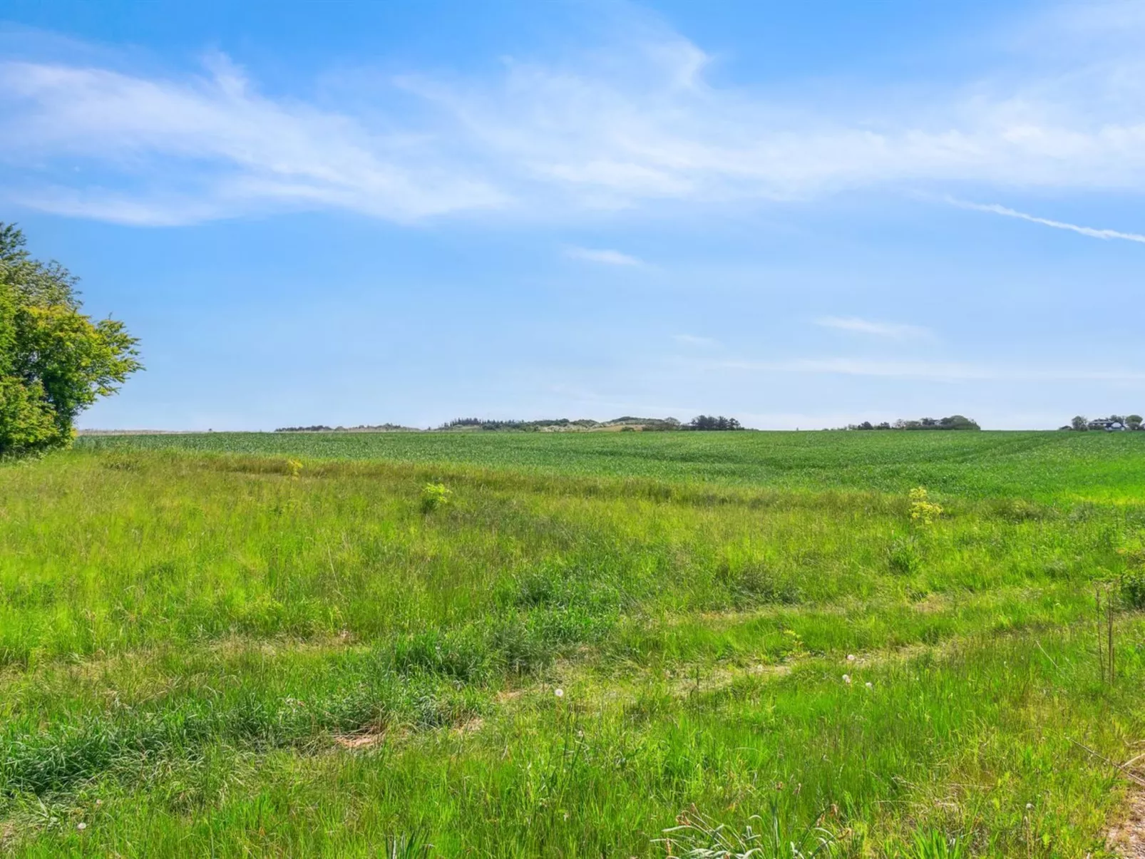 "Althea" - 750m to the fjord-Buiten