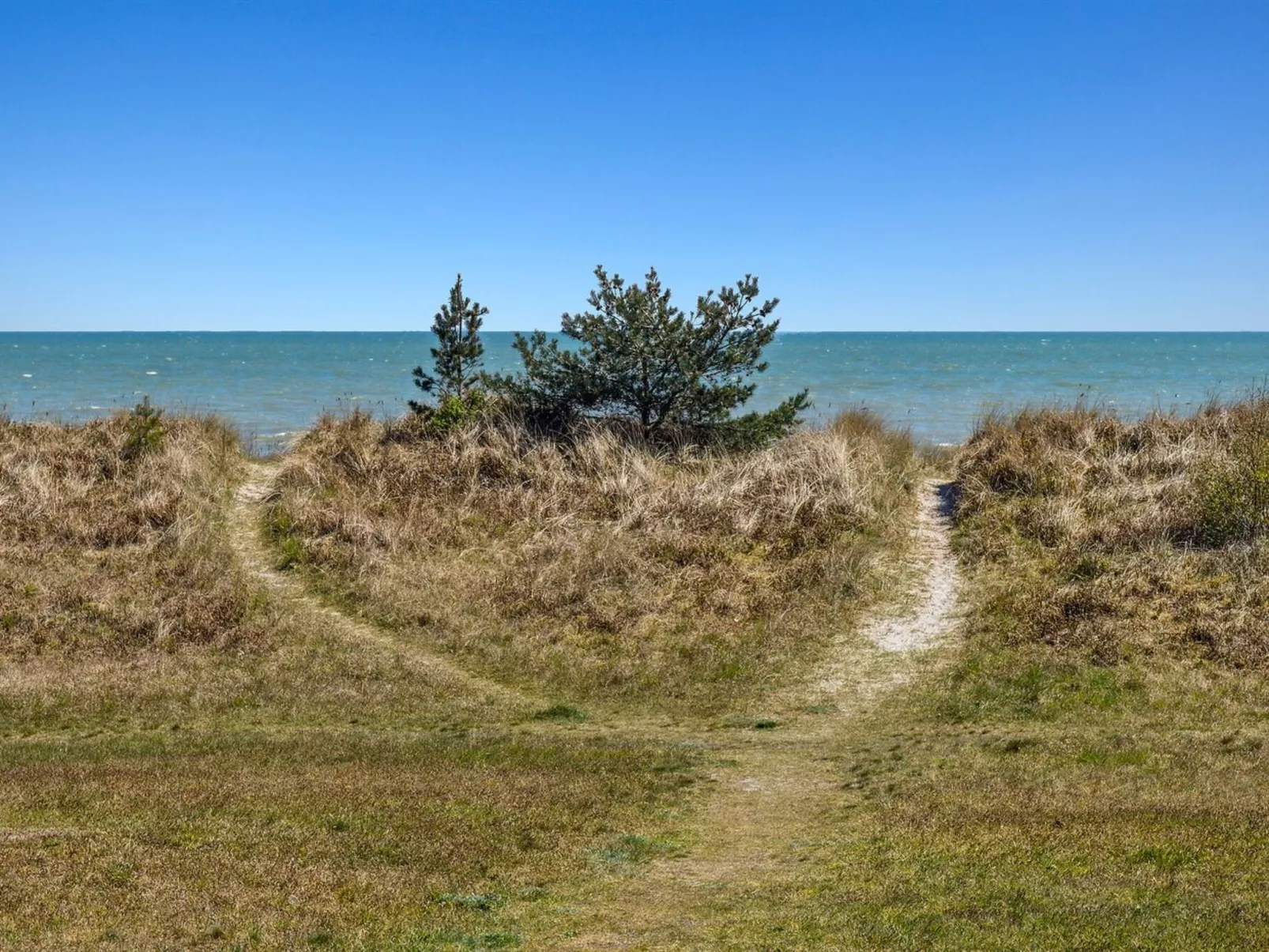 "Engli" - 90m from the sea-Buiten