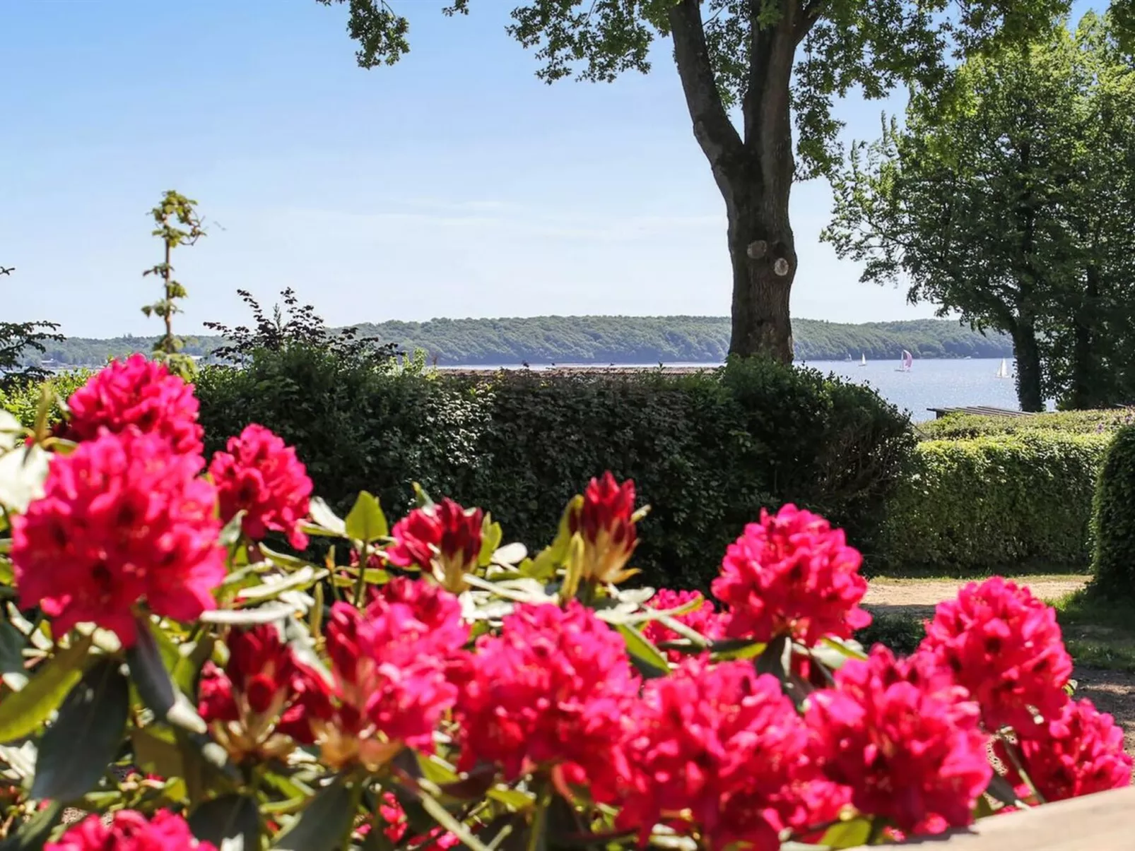 "Engelke" - 150m from the sea-Buiten