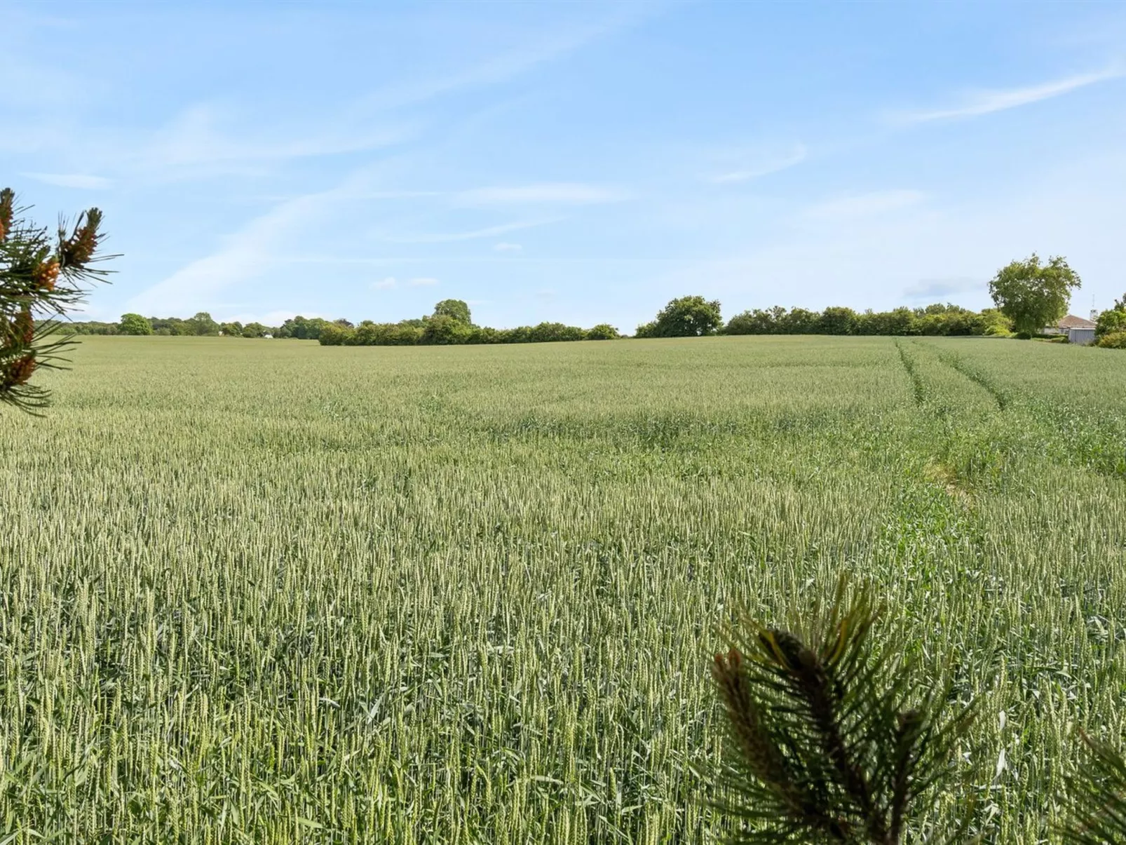 "Veljan" - 400m from the sea-Buiten