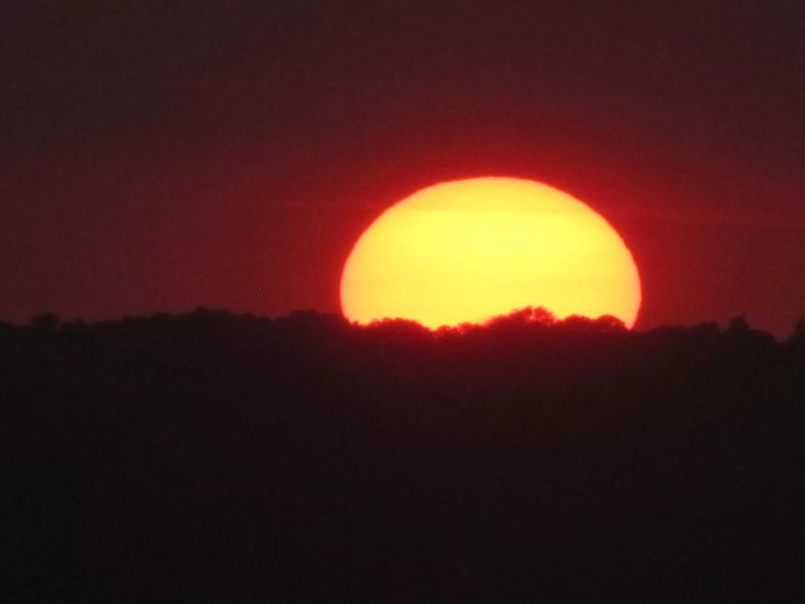 "Elvin" - 20m from the sea-Buiten