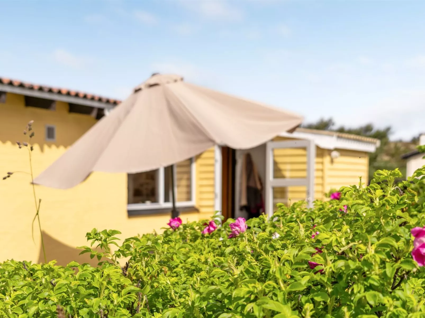 "Suki" - 650m from the sea-Buiten