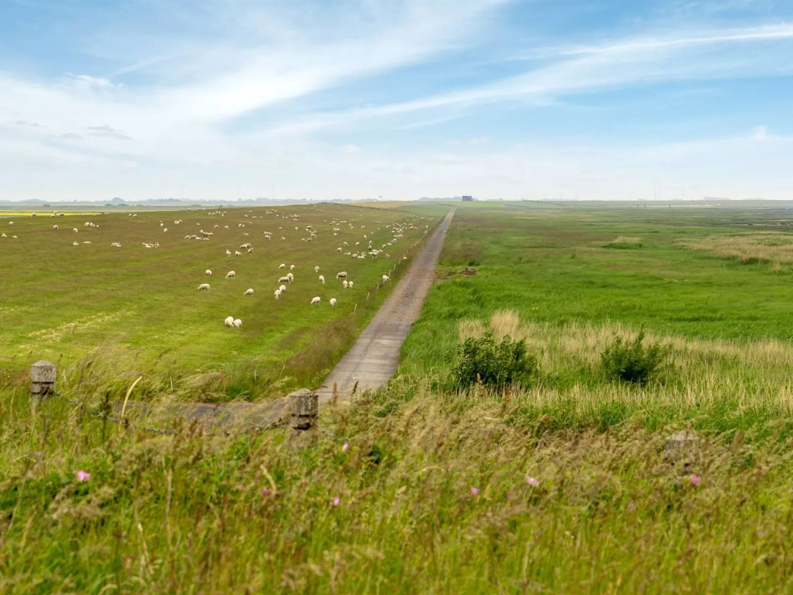 "Annagrete" - 12km from the sea-Buiten