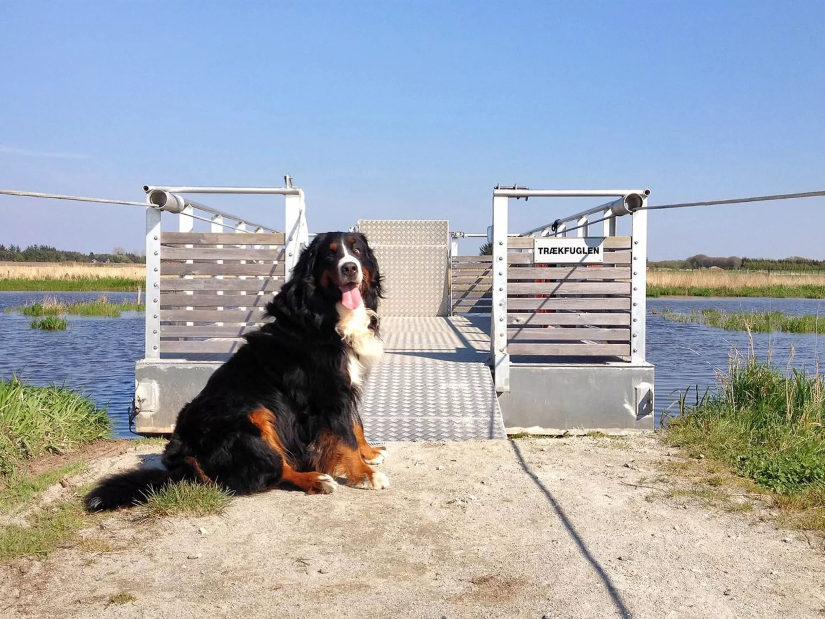 "Elis" - 90m to the fjord-Buiten