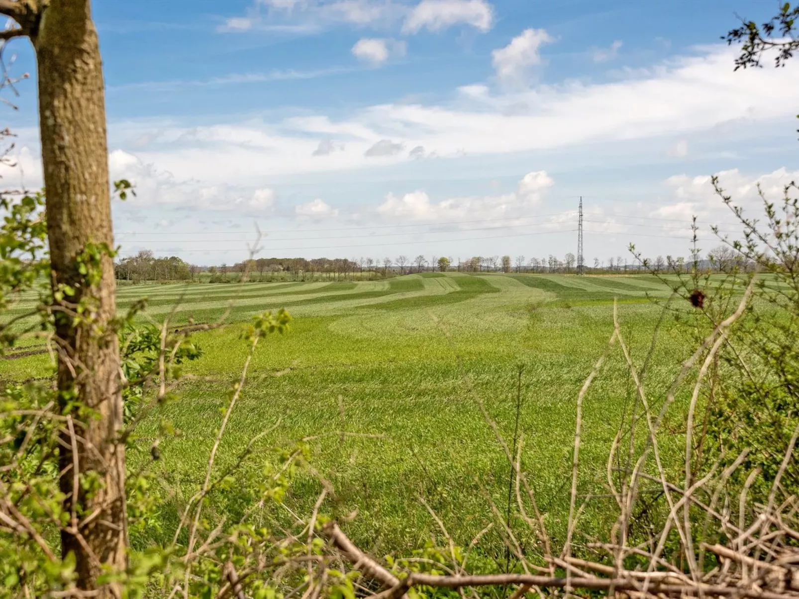 "Henna" - 550m to the fjord-Buiten