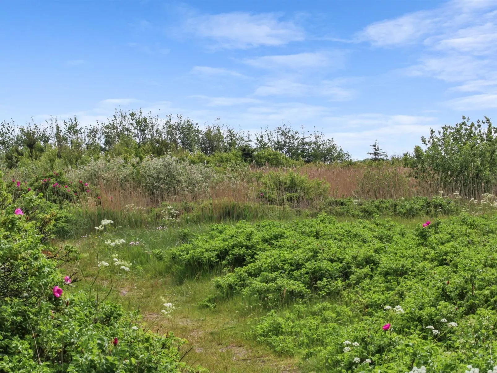 "Andria" - 300m from the sea-Buiten