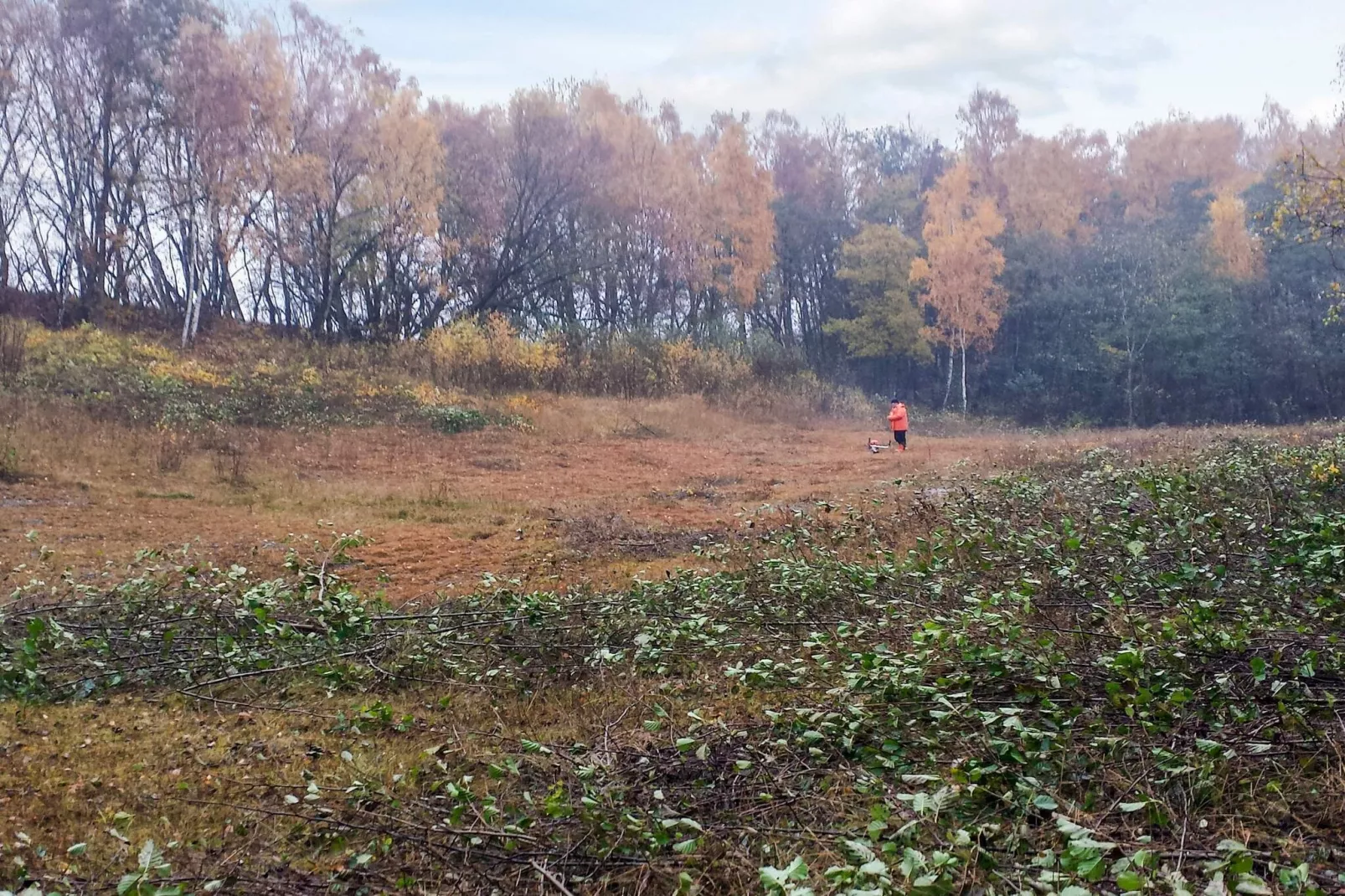 5 persoons vakantie huis in RAA/HELSINGBORG-Niet-getagd