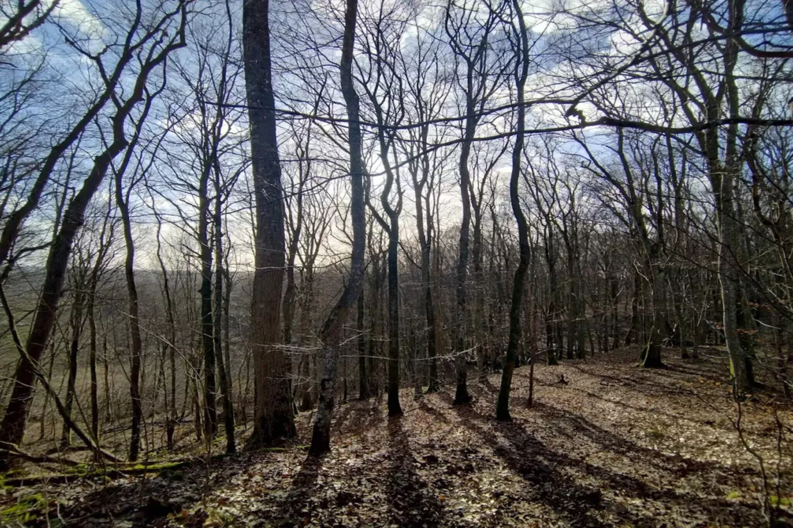 9 persoons vakantie huis in Ljungbyhed-By Traum-Niet-getagd