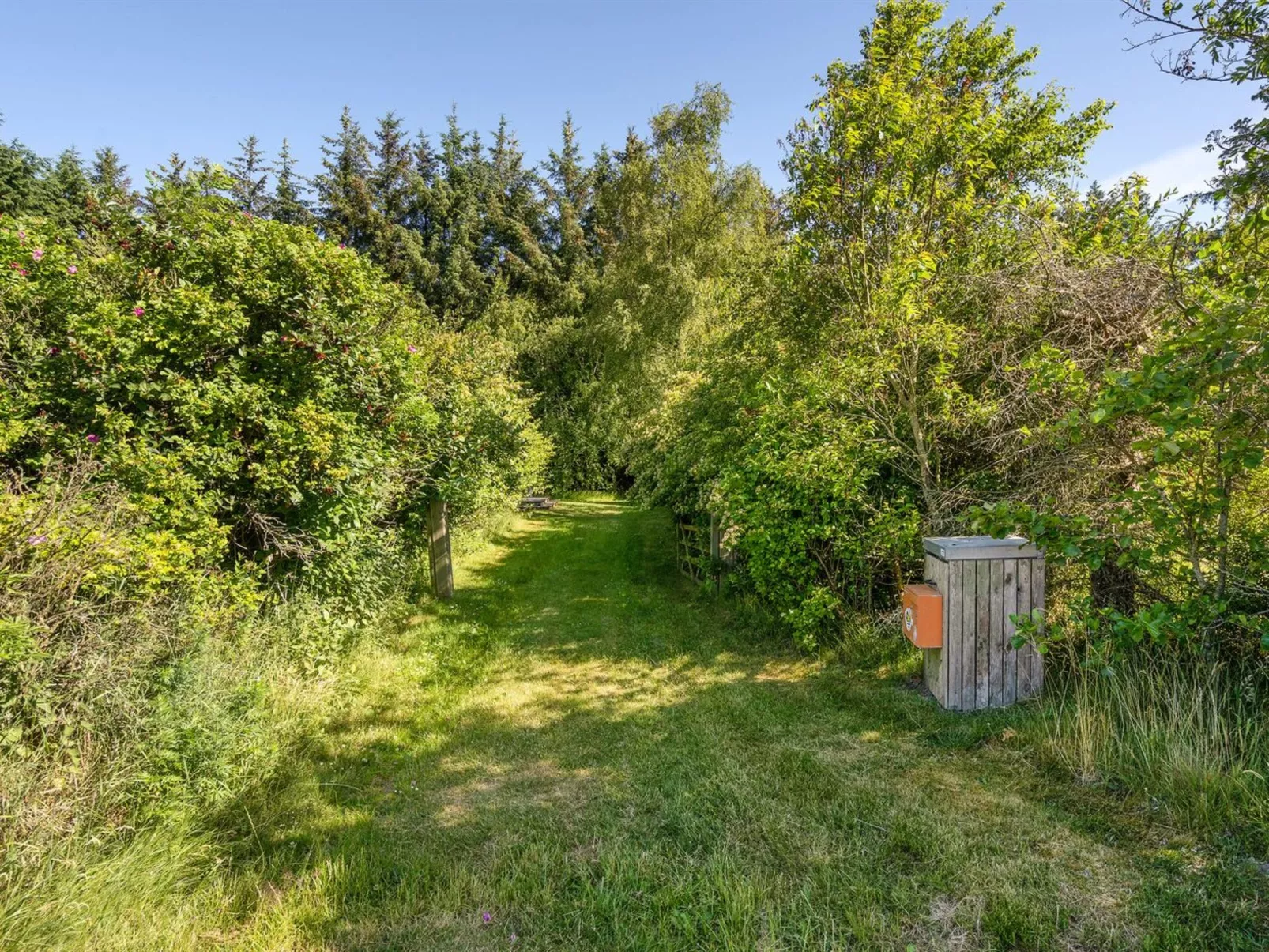 "Alwin" - 2.5km from the sea-Buiten