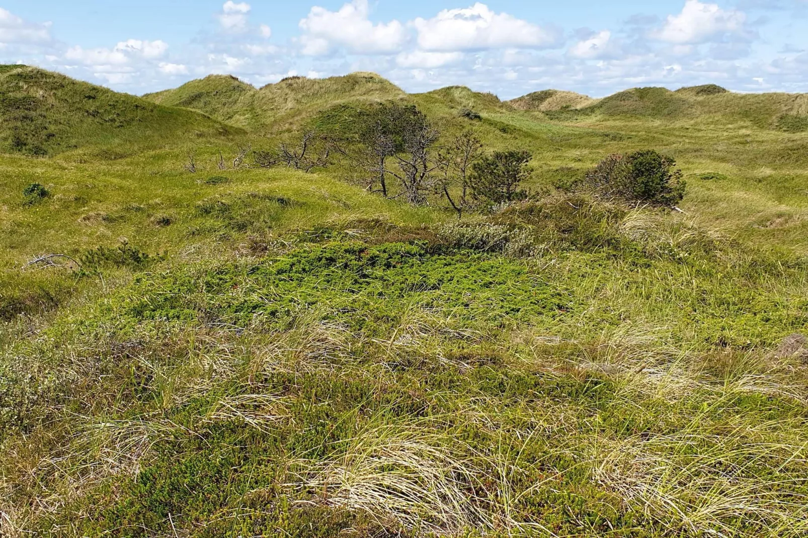 6 persoons vakantie huis in Pandrup-By Traum-Niet-getagd