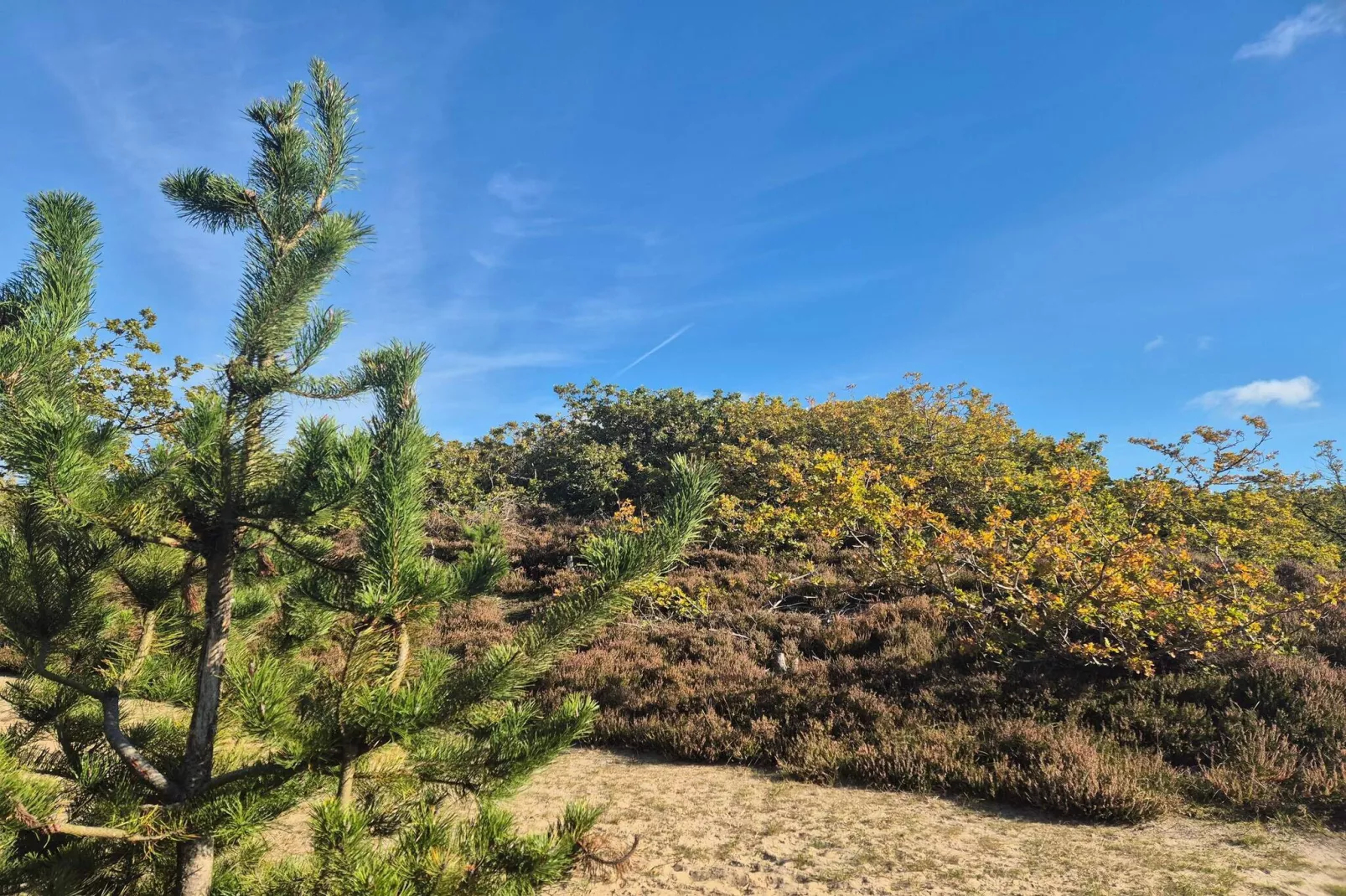 6 persoons vakantie huis in Henne-Niet-getagd