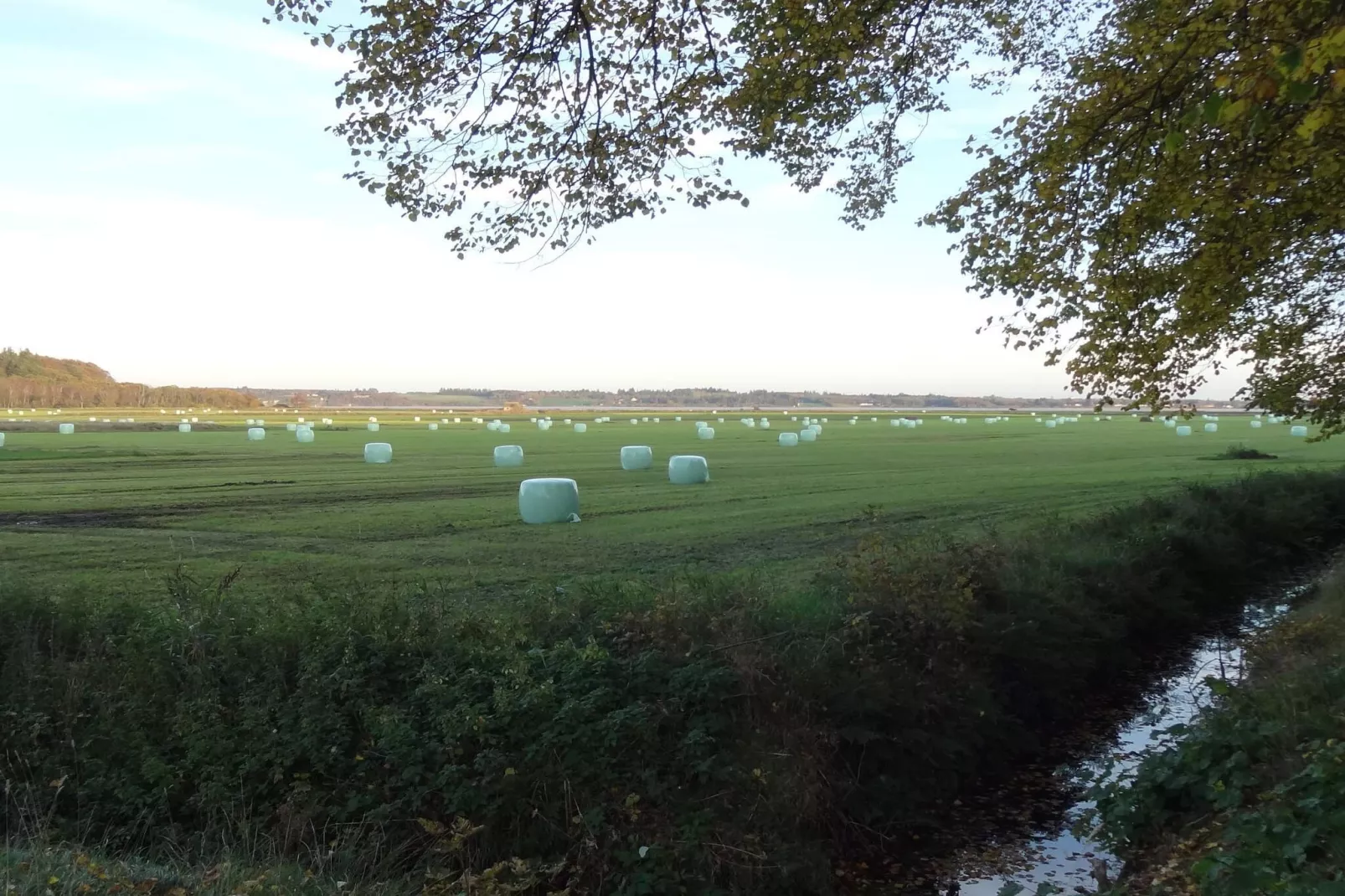 8 persoons vakantie huis in Øster Assels-By Traum-Niet-getagd