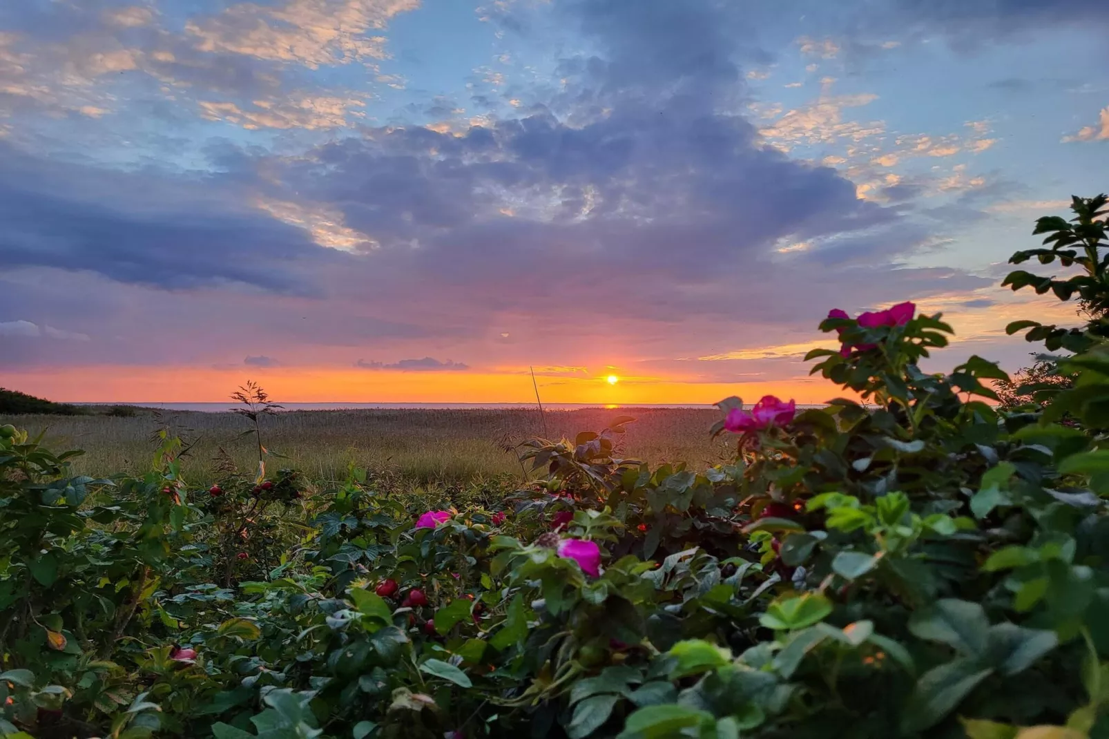 5 persoons vakantie huis in Skjern-By Traum-Niet-getagd