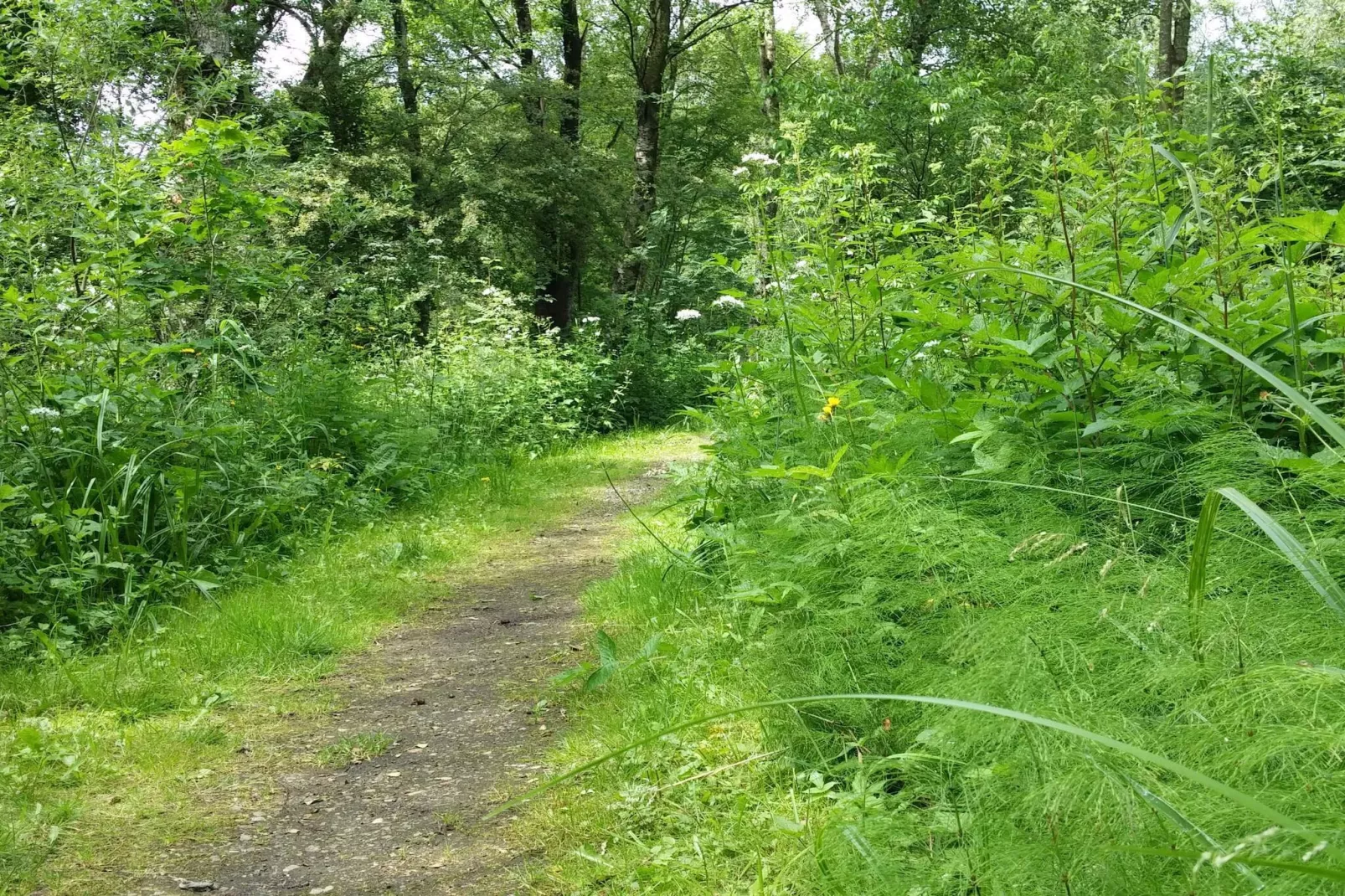 Meerzicht Juweel in Skarrild -- By Traum Ferienwohnungen-Niet-getagd