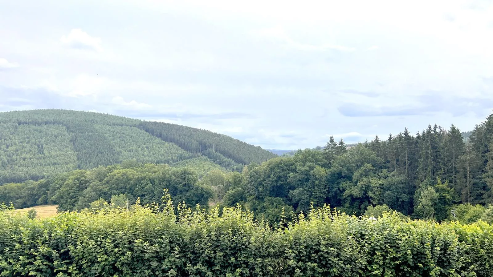 Sur les Thiers-Uitzicht zomer