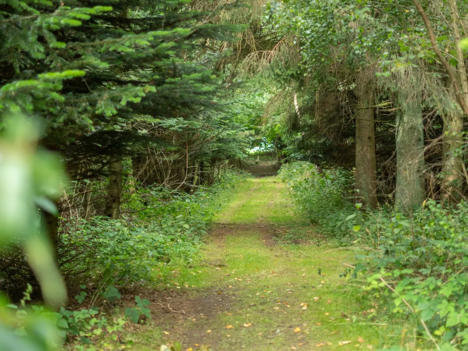 "Thana" - 8km from the sea-Buiten