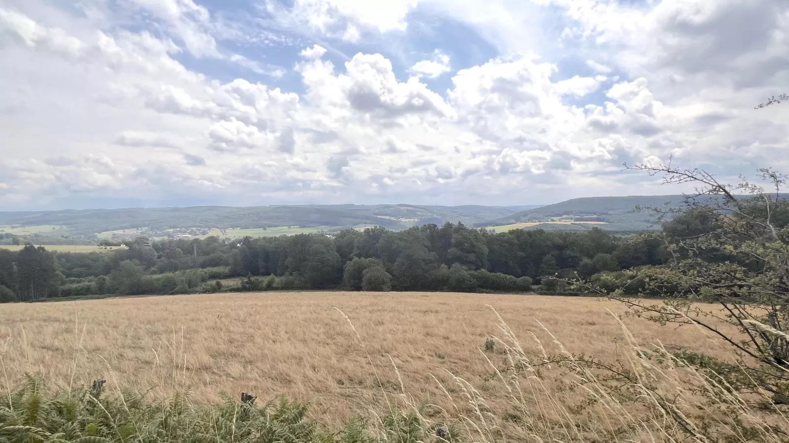 Sur les Thiers-Gebieden zomer 5km