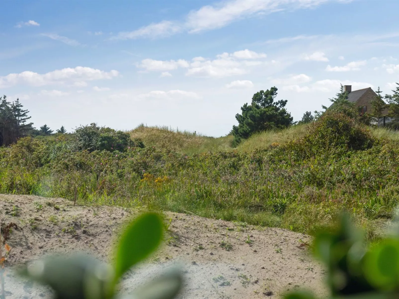 "Yakari" - 1km from the sea-Buiten