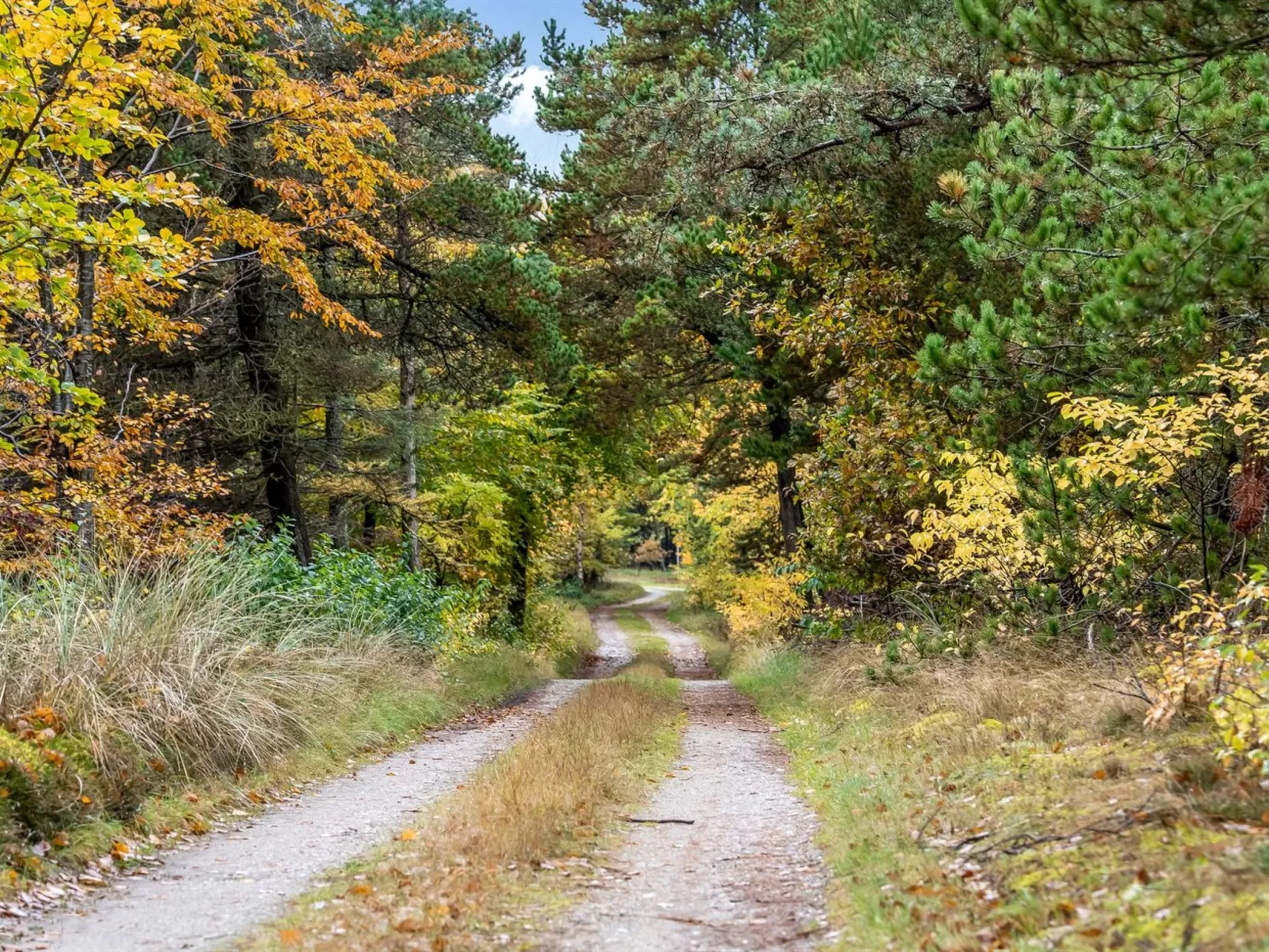 "Eimi" - 1.5km from the sea-Buiten
