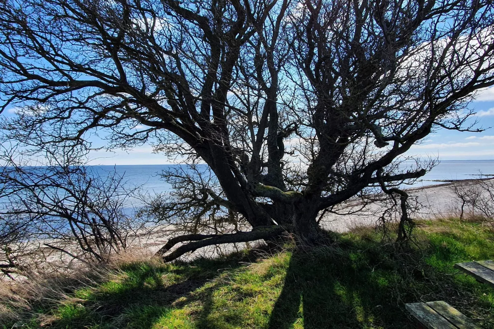 8 persoons vakantie huis in Nykøbing F-By Traum-Waterzicht