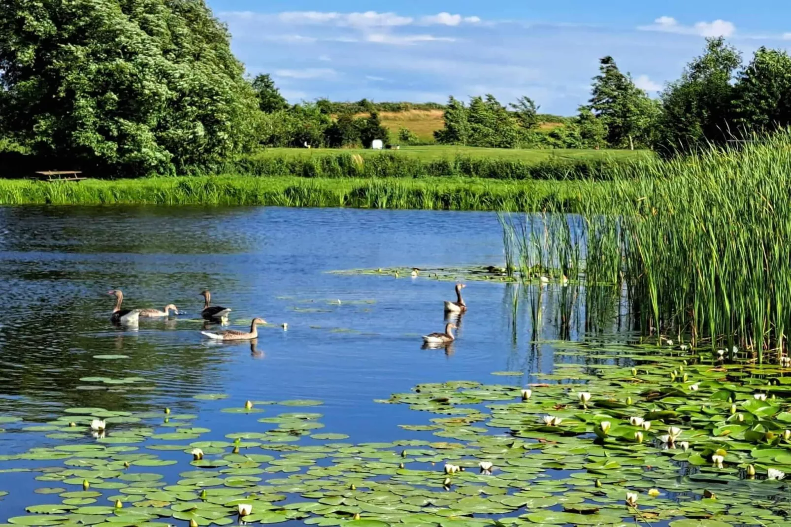 4 sterren vakantie huis in Humble-By Traum-Waterzicht