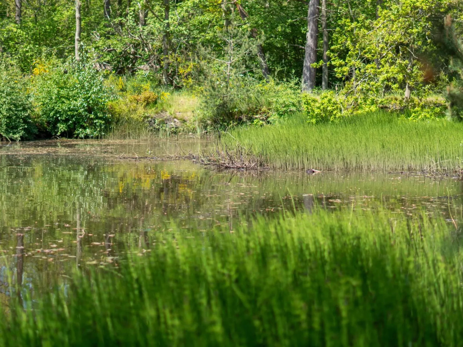 "Smilla" - 300m from the sea-Buiten