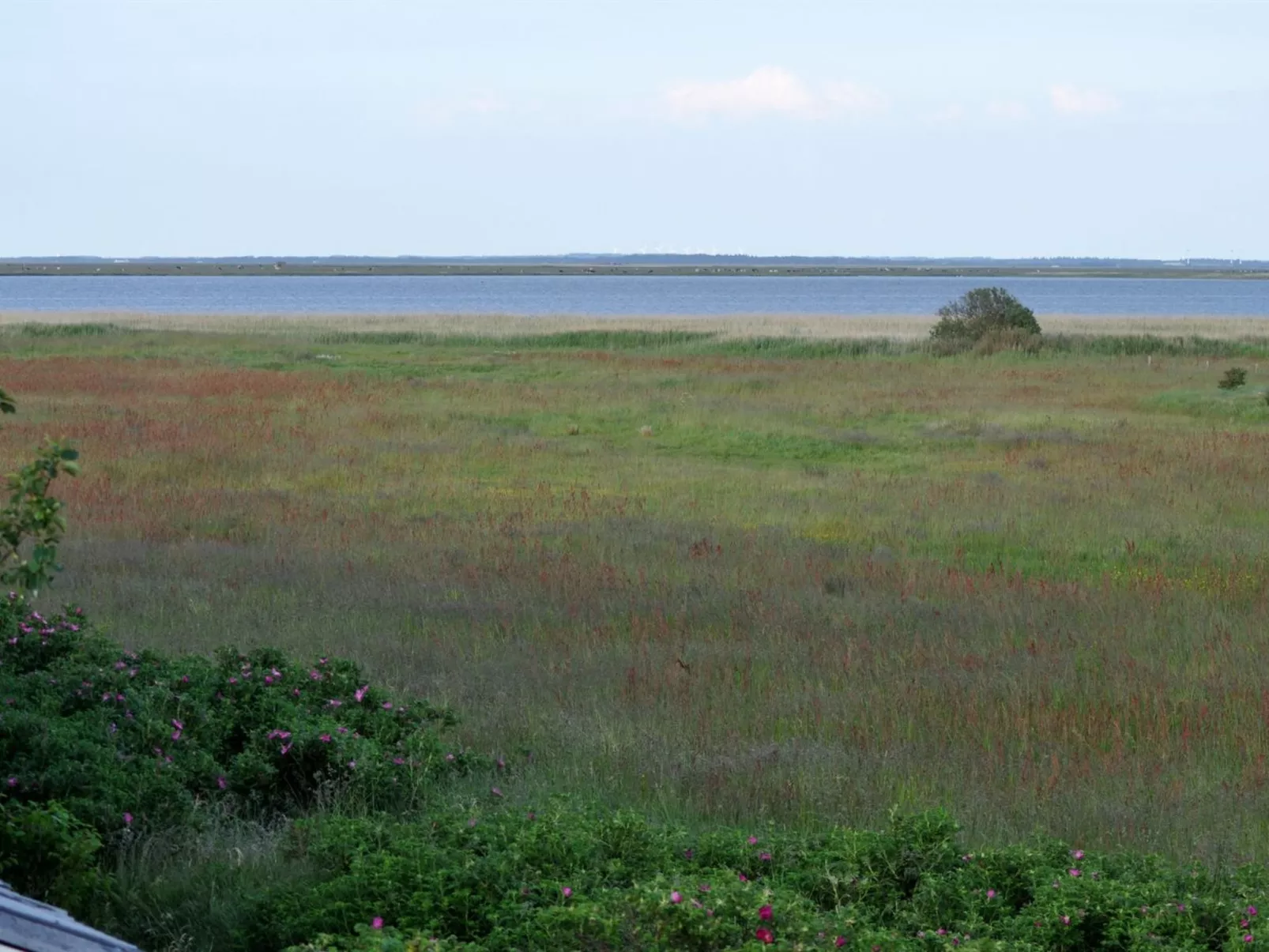 "Werna" - 800m from the sea-Buiten