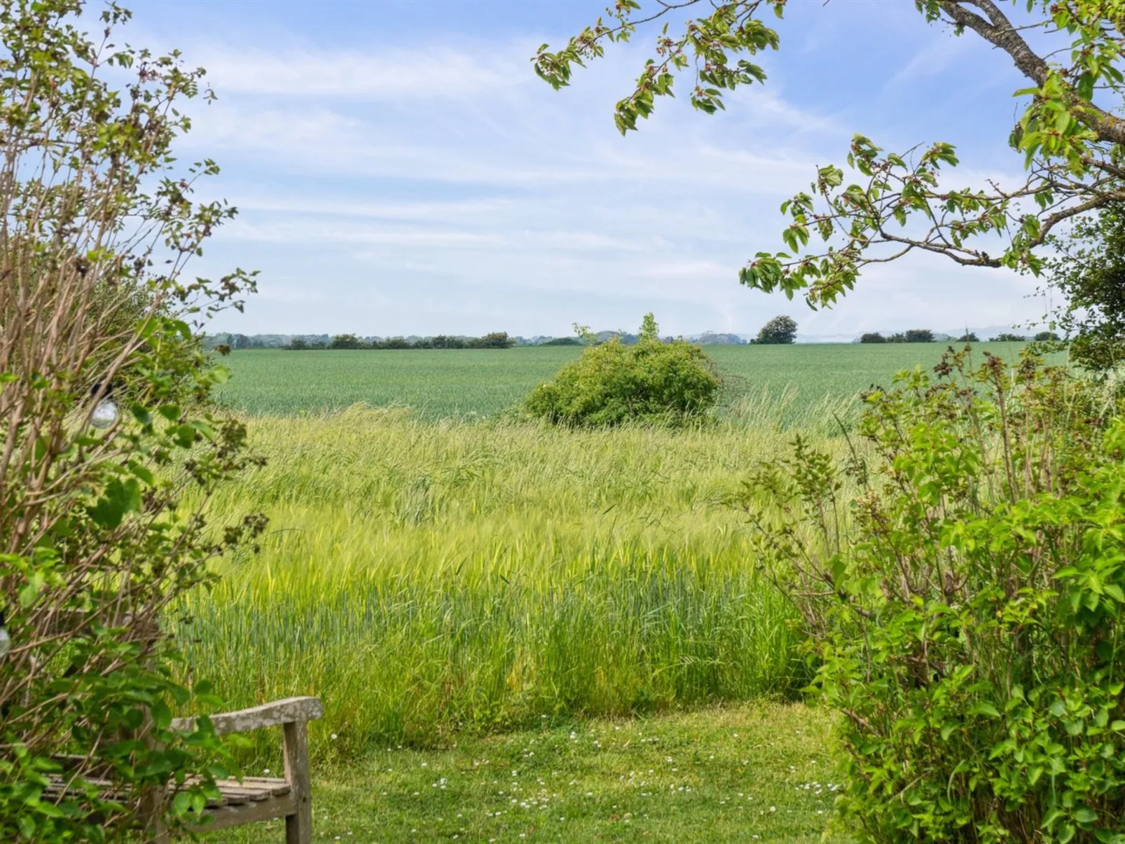 "Ødke" - 350m from the sea-Buiten
