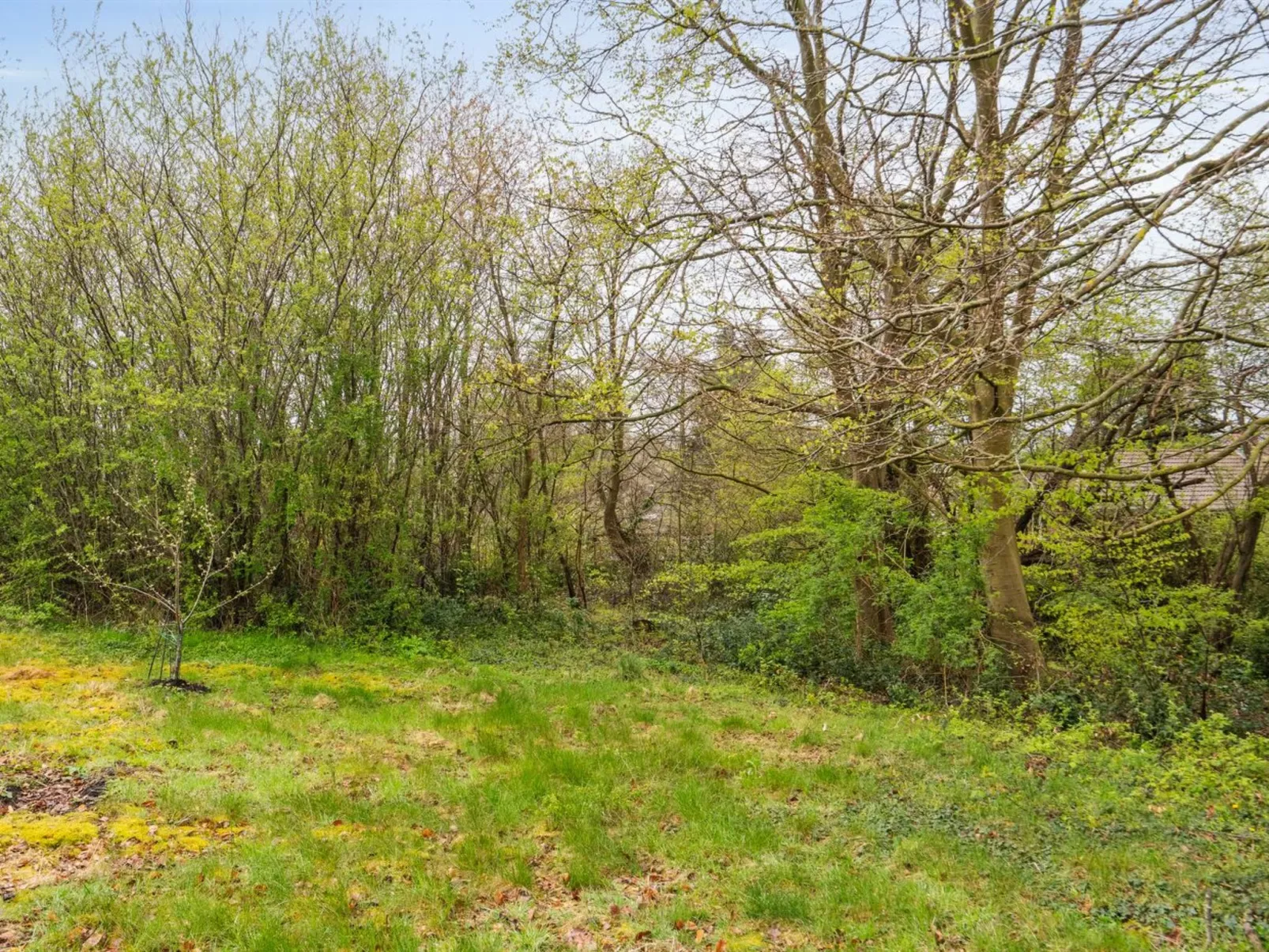 "Avni" - 300m from the sea-Buiten