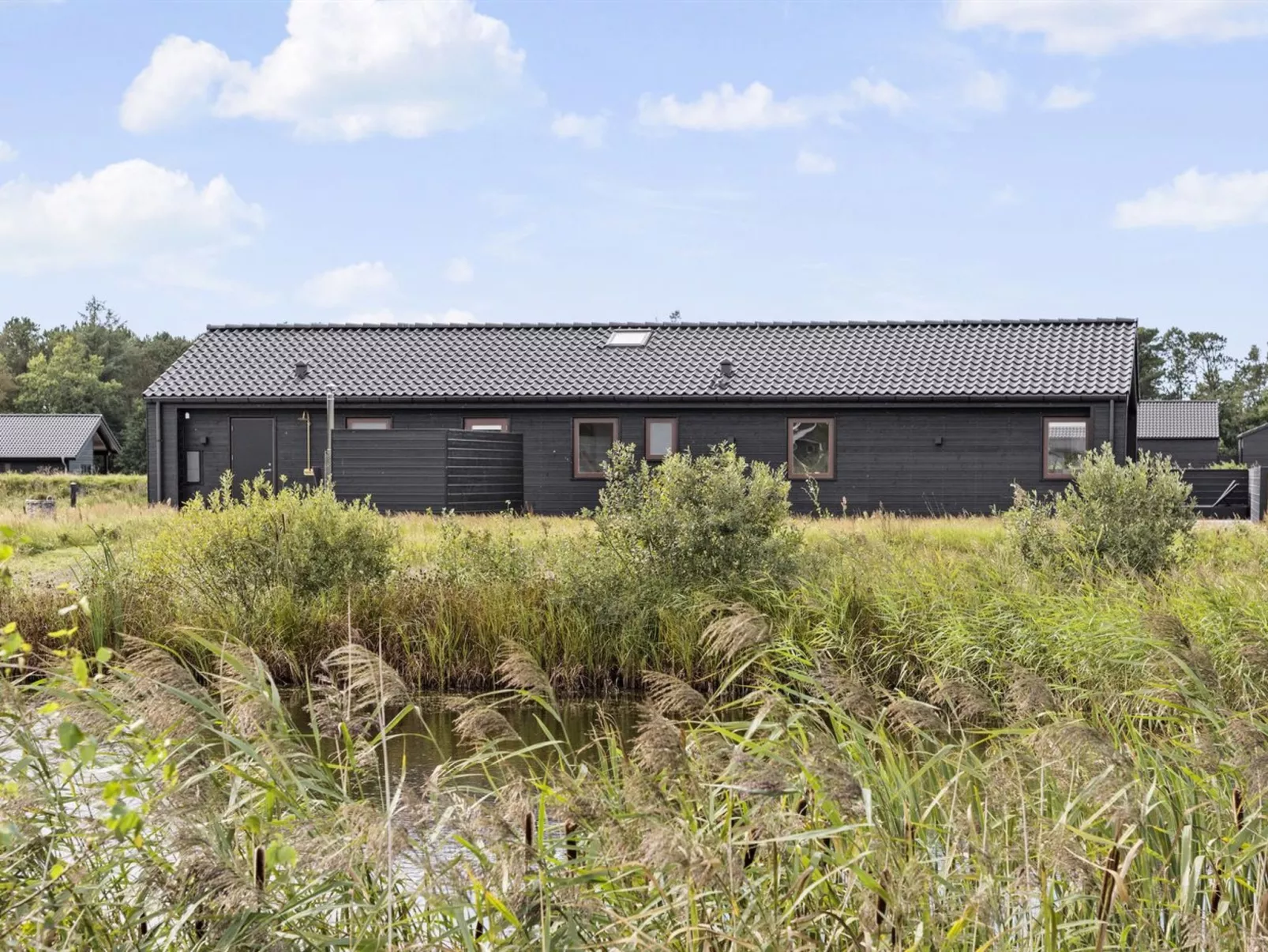 "Frithbjorn" - 900m from the sea-Buiten