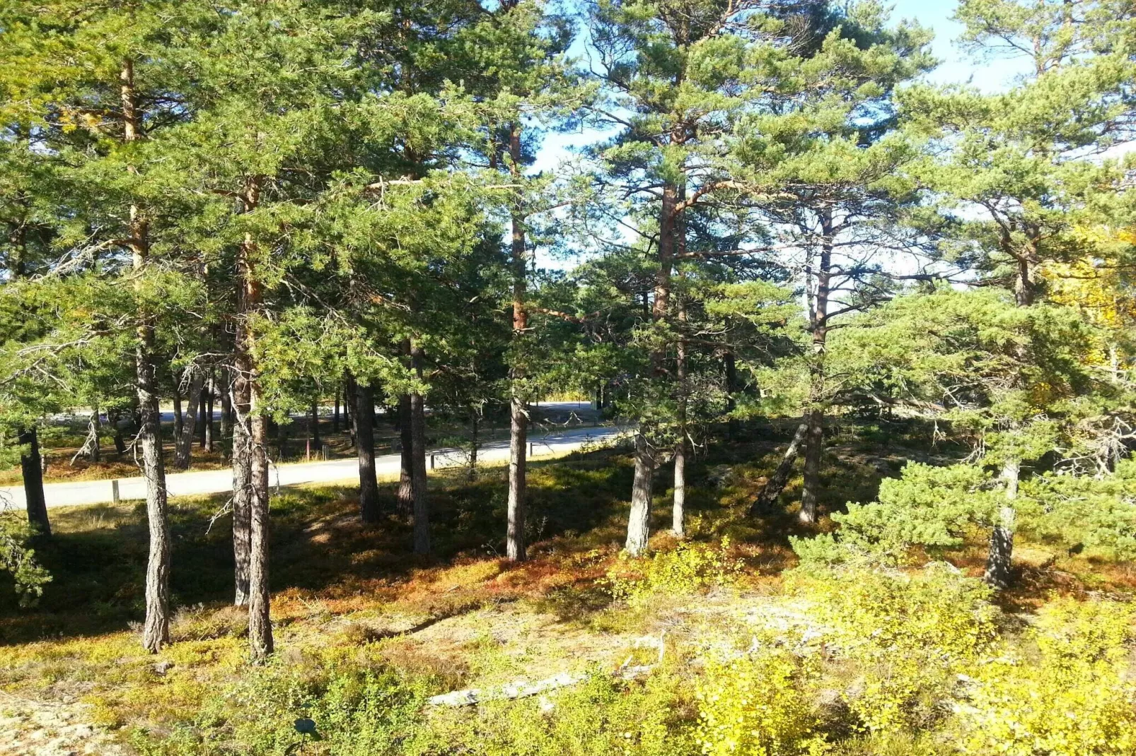 4 sterren vakantie huis in VÄRMDÖ-Niet-getagd