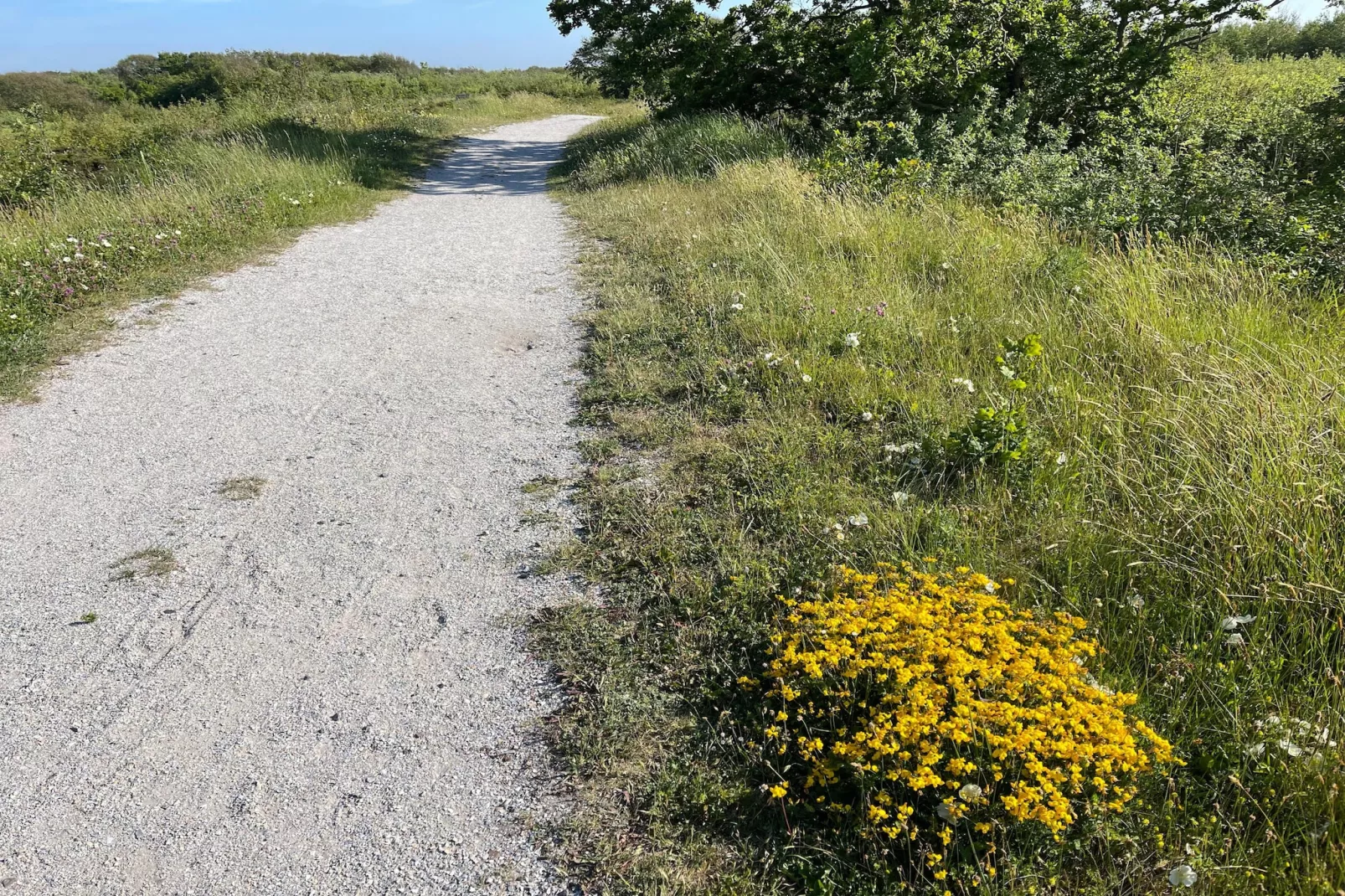 Tipitent de Jutter-Gebieden zomer 5km