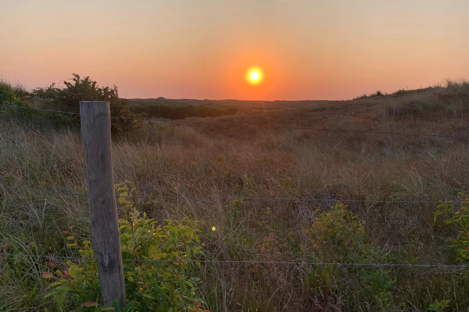 Vossehoeck 2-Gebieden zomer 5km